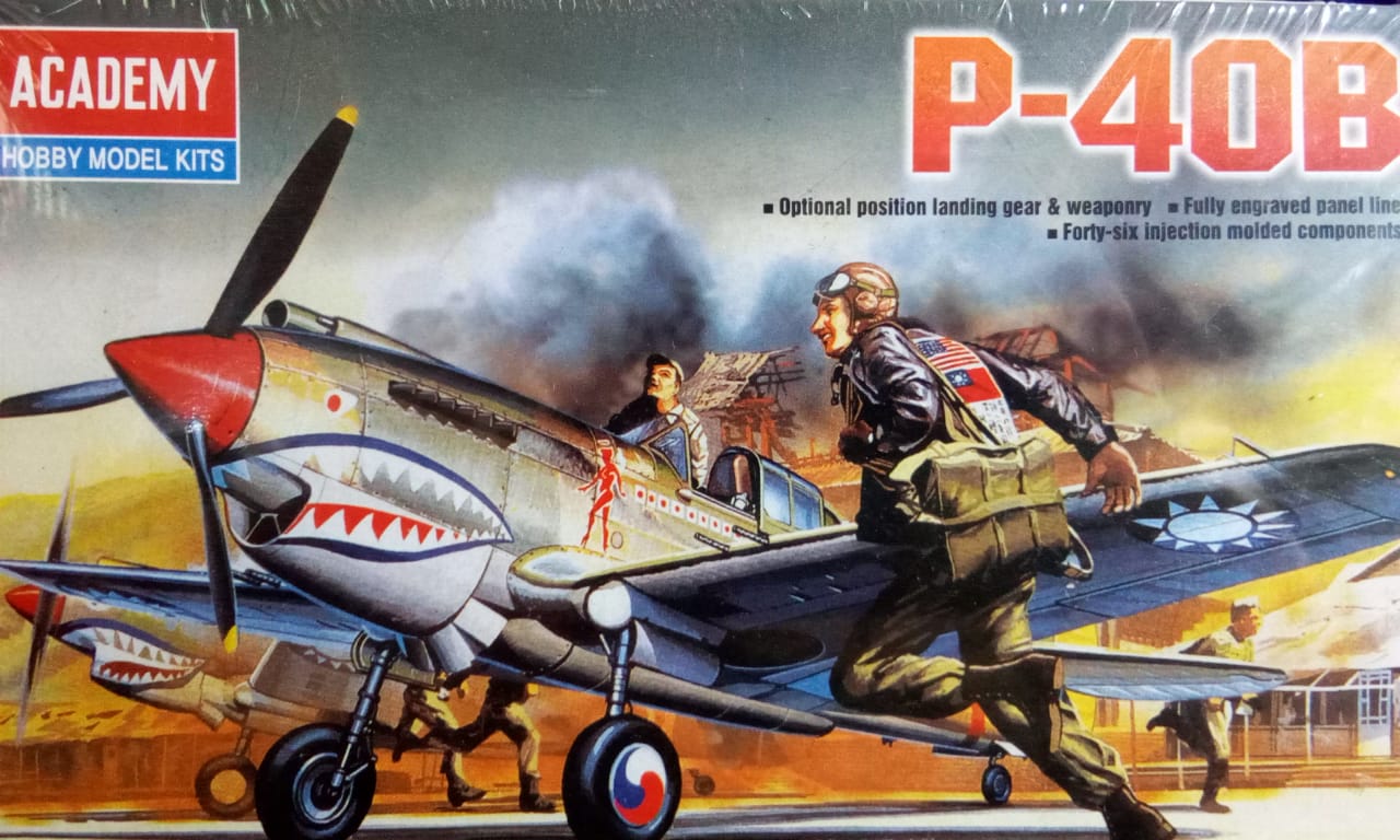 P-40b ACA